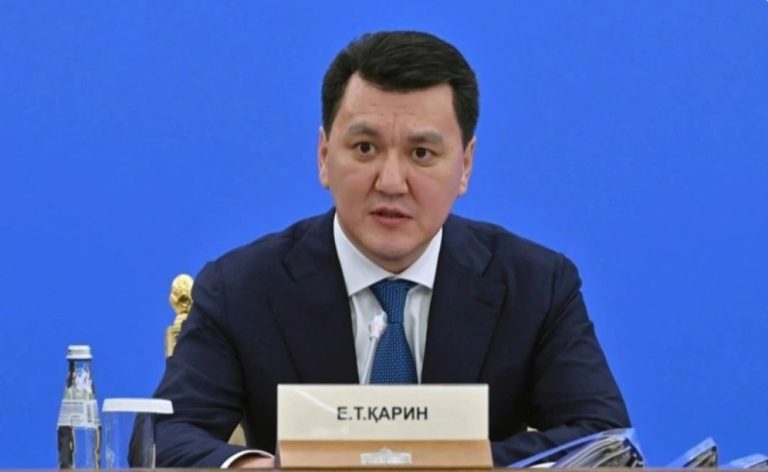«Асфальт қазағы», «шала қазақ»: Қарин Халық Кеңесіндегі Президент сөзінің мәнін түсіндірді